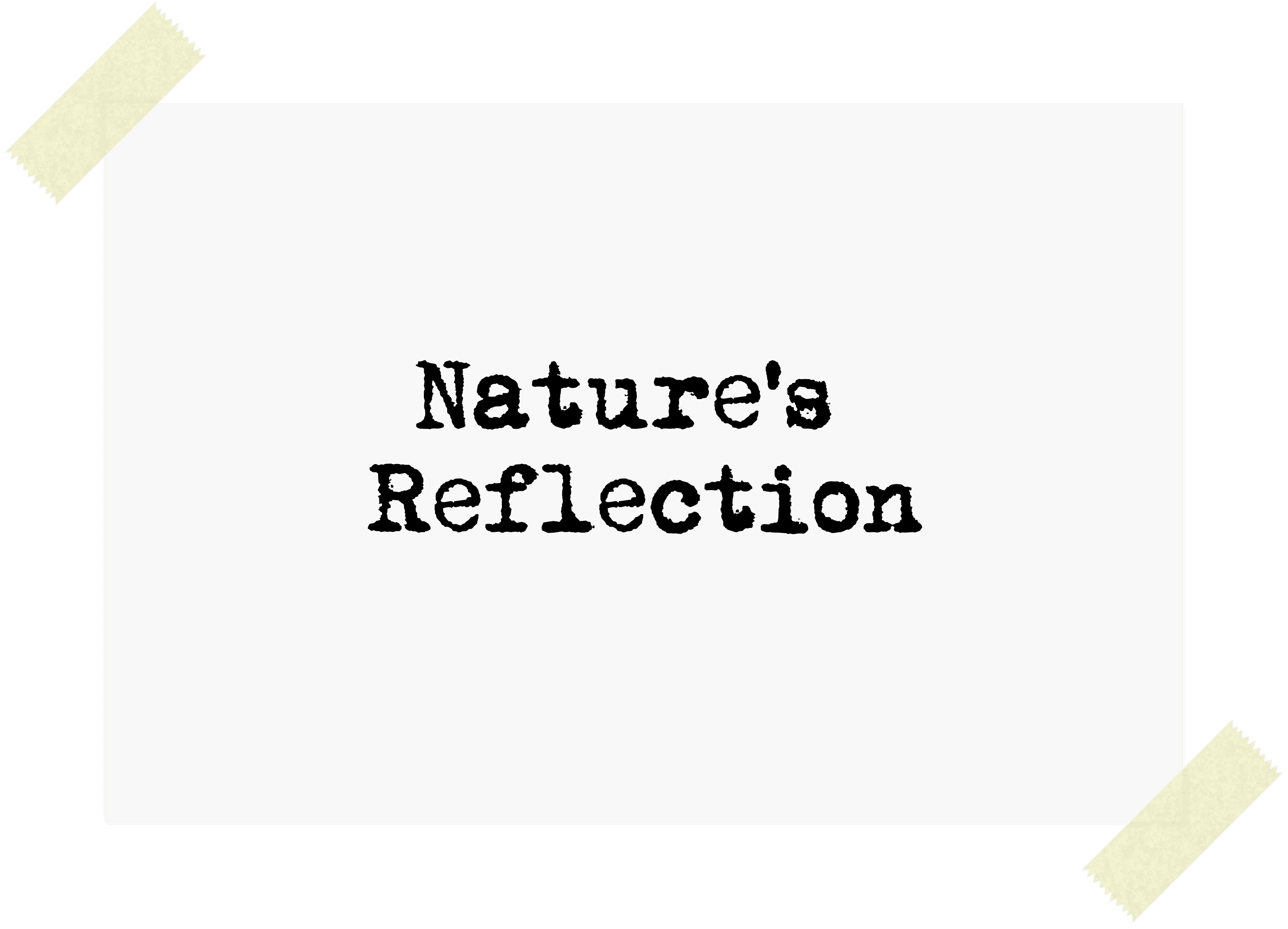 Nature’s Reflection reverse side